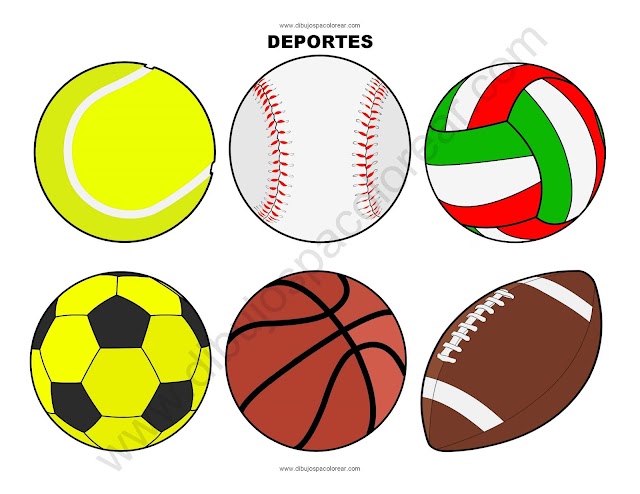 pelotas de deportes a color o para colorear